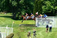 Steeplechase Race #2-The Landhope Cup