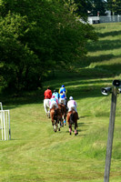 Steeplechase Race #5-The Willowdale Steeplechase