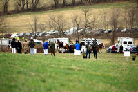 73rd Running of Mr Stewart's Cheshire Foxhounds Point-to-Point