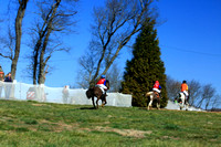 Race #2 - Laurel Hill Farm Medium Pony Race
