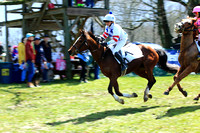 Race #4 - Down Hill Runner Challenge Large Pony Flat Race