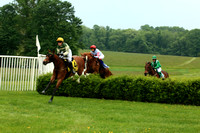 30th Running of The Willowdale Steeplechase