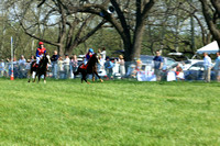 Race #2 - Medium Pony Flat