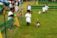 Youth Handler Competition