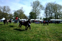 Race #3 - Large Pony Flat