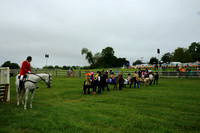 1st Lead Line Pony Race - Division 1 Trot