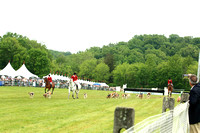The Radnor Hunt Hound Parade with Henry Nylen