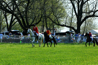 Race #5 - Pony Junior Field Master Chase