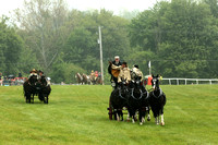The Radnor Hunt Races Carriage Parade