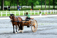 170520 GEA Horse Driving Trials-Dressage