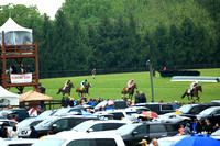 4th Race - The Willowdale Steeplechase Stakes (3 1/2 Miles over Timbers)