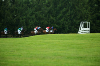 The Willowdale Steeplechase