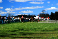 81st Running of the Brandywine Hills Point-to-Point-photos